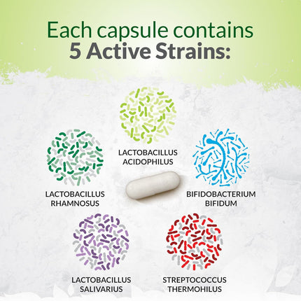 Bio Cultures Complex: 10 Billion CFU Live Cultures for Digestive & Immune Health – 180 Capsules for 6-Month Supply, Vegetarian & Gluten-Free Formula