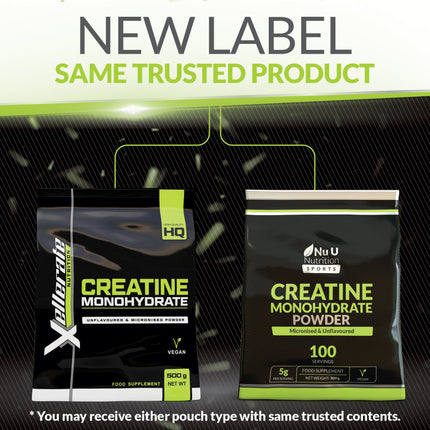 Creatine Monohydrate Powder 500g | Micronised Creatine