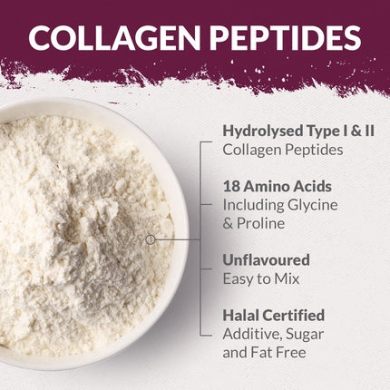 Collagen Powder