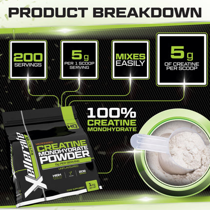 Creatine Monohydrate Powder