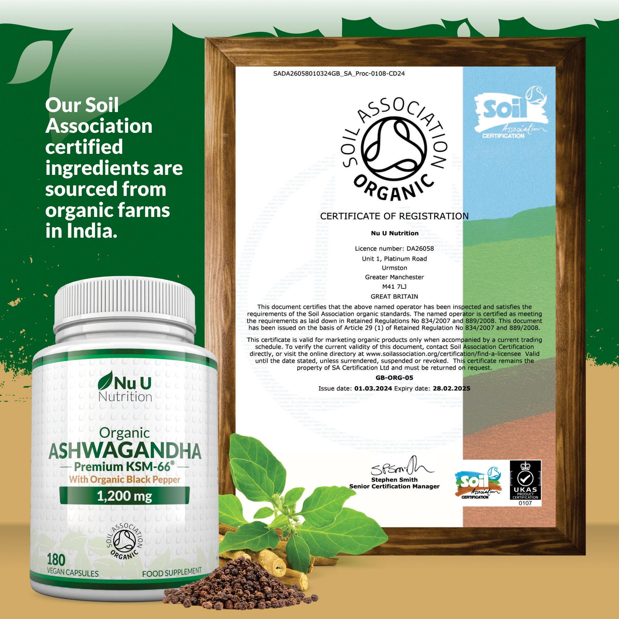 Organic Ashwagandha KSM-66® 1200mg - 180 Vegan Capsules – Nu U Nutrition
