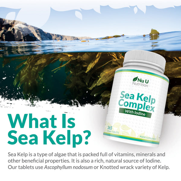 Sea Kelp Tablets 2000mg - 365 Vegan Tablets - 1 Year Supply