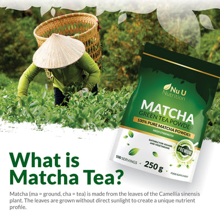 Matcha Green Tea Powder